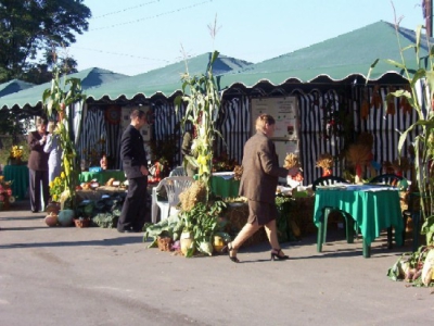 DOŻYNKI 2004 - zdjęcie8