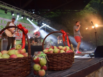 Międzynarodowy Festiwal Jabłka już za nami - zdjęcie41