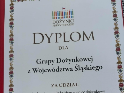 Dożynki Prezydenckie 2024 - zdjęcie4